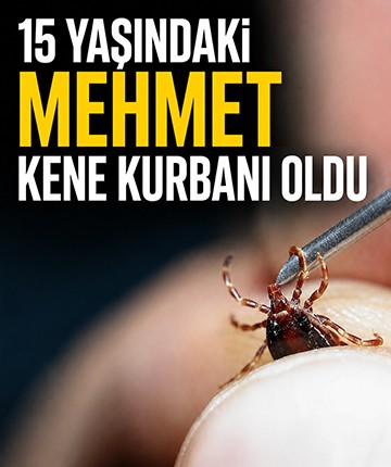 15 yaşındaki Mehmet kene kurbanı oldu