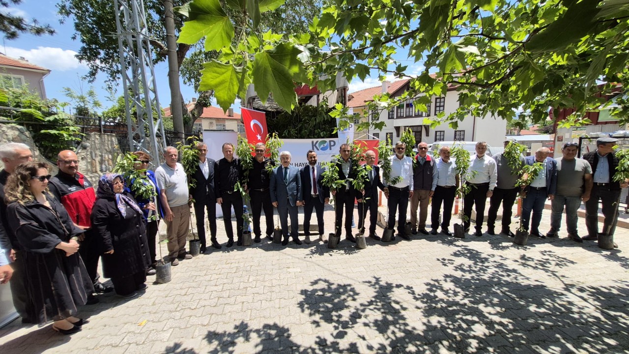 Konya'da değişen iklime karşı kirazda yeni çeşit hamlesi