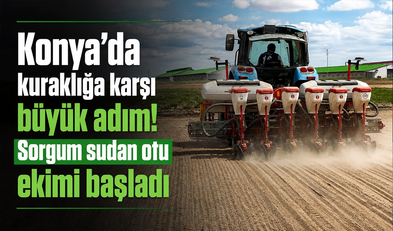 Konya’da kuraklığa karşı büyük adım! Sorgum sudan otu ekimi başladı