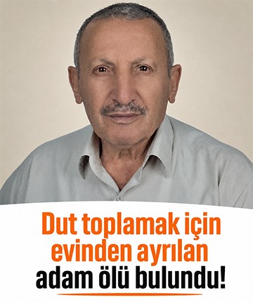 Dut toplamak için evinden ayrılan adam ölü bulundu!