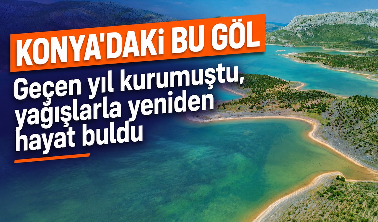 Konya'daki bu göl geçen yıl kurumuştu, yağışlarla yeniden hayat buldu