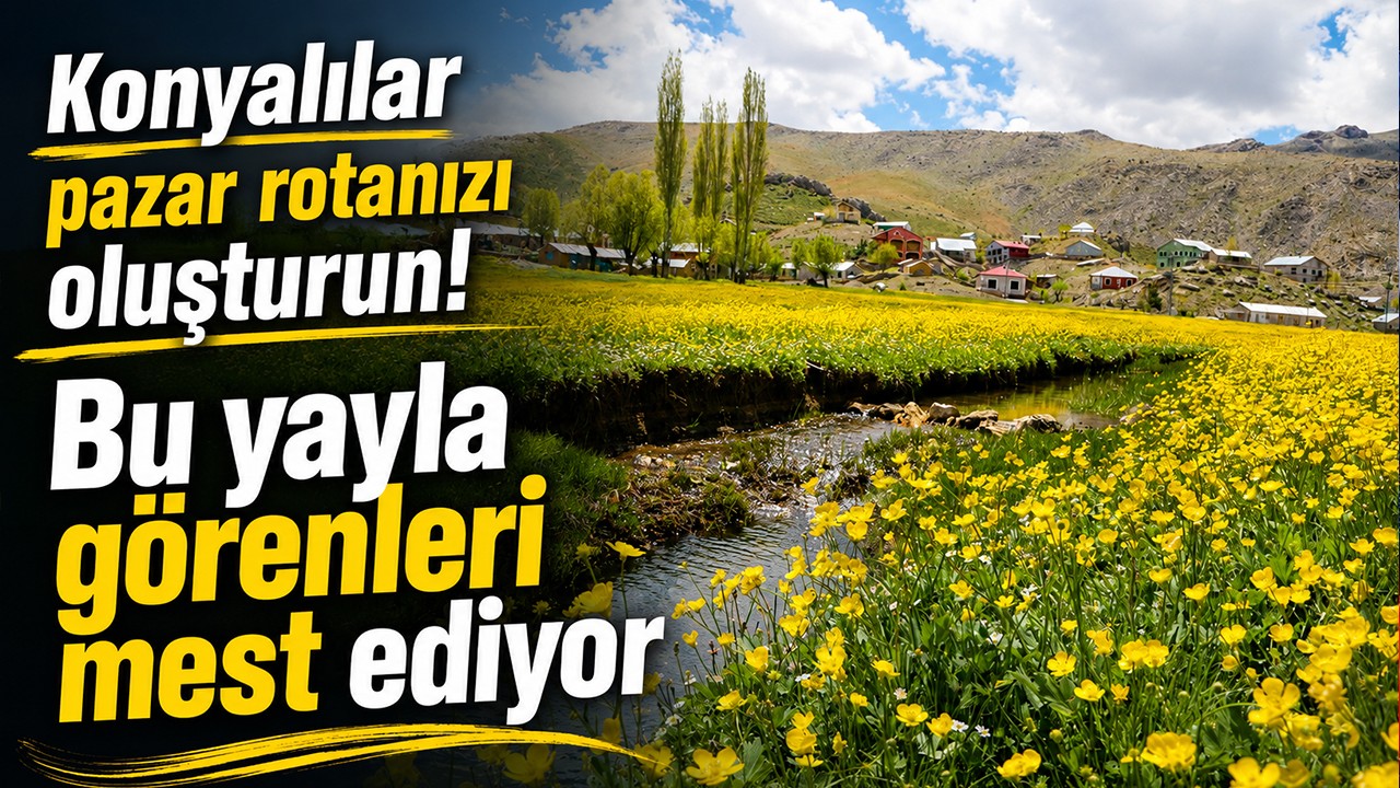 Konyalılar pazar rotanızı oluşturun! Bu yayla görenleri mest ediyor