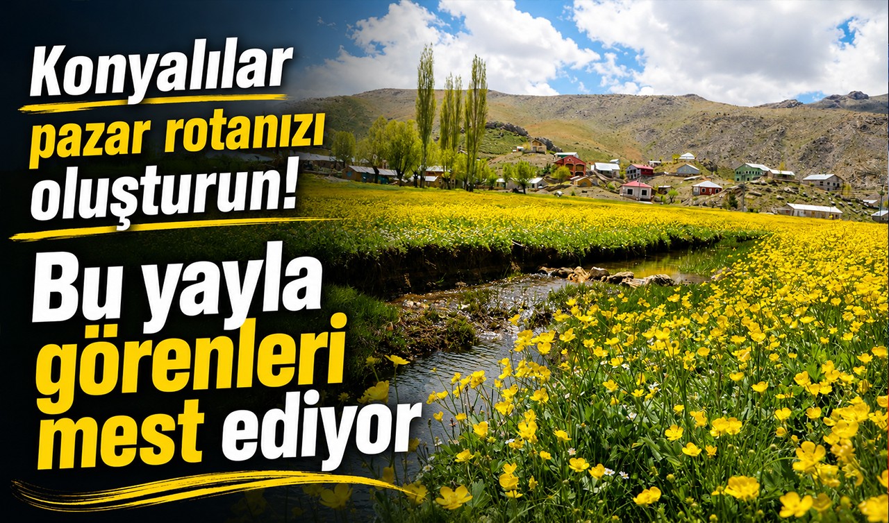 Konyalılar pazar rotanızı oluşturun! Bu yayla görenleri mest ediyor