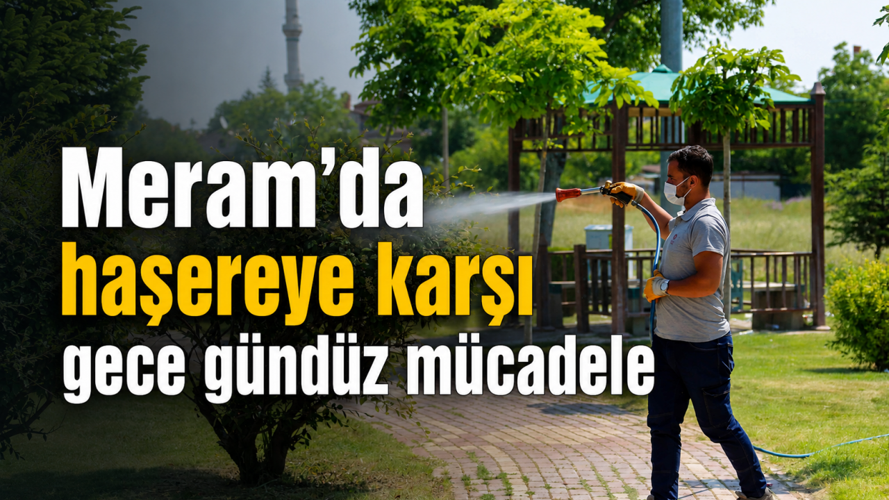 Meram’da haşereye karşı gece gündüz mücadele