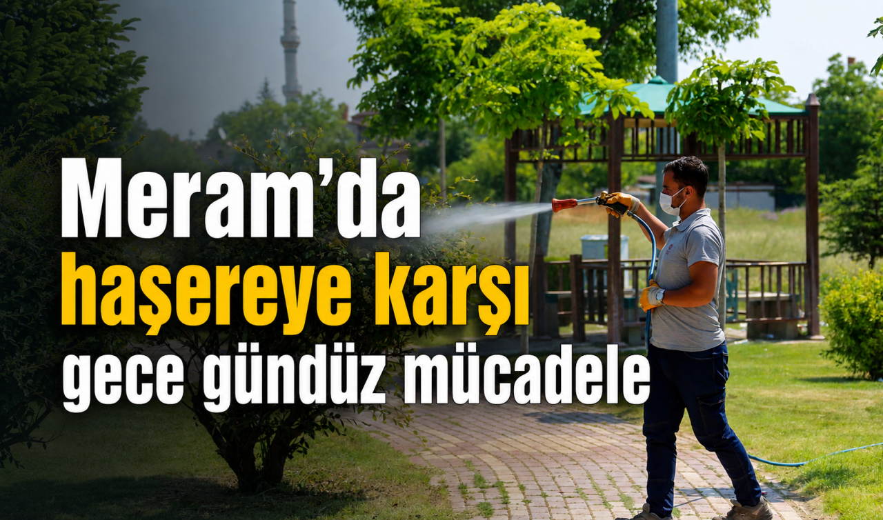 Meram’da haşereye karşı gece gündüz mücadele