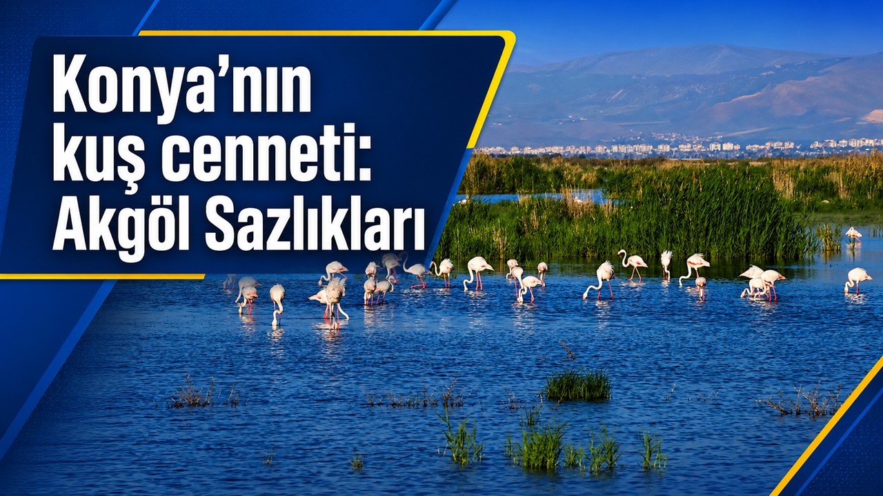 Konya’nın kuş cenneti: Akgöl Sazlıkları