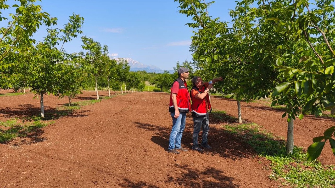 Beyşehir’de üretim kontrol altında