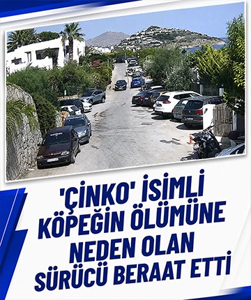 'Çinko' isimli köpeğin ölümüne neden olan sürücü beraat etti