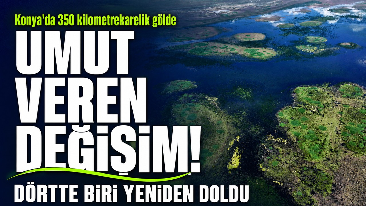 Konya'da 350 kilometrekarelik gölde umut veren değişim! Dörtte biri yeniden doldu