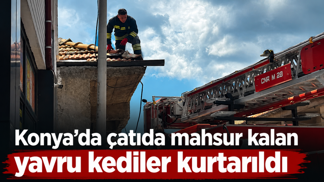 Konya’da çatıda mahsur kalan yavru kediler kurtarıldı