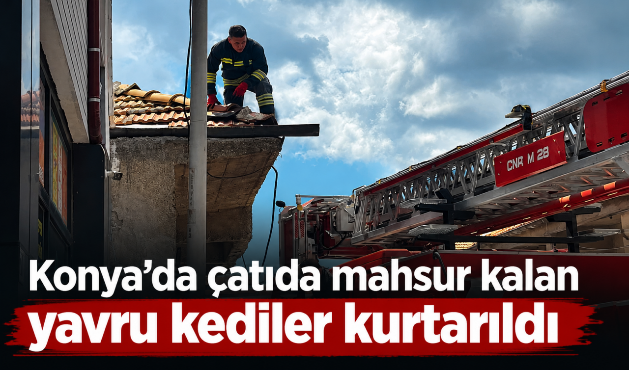 Konya’da çatıda mahsur kalan yavru kediler kurtarıldı