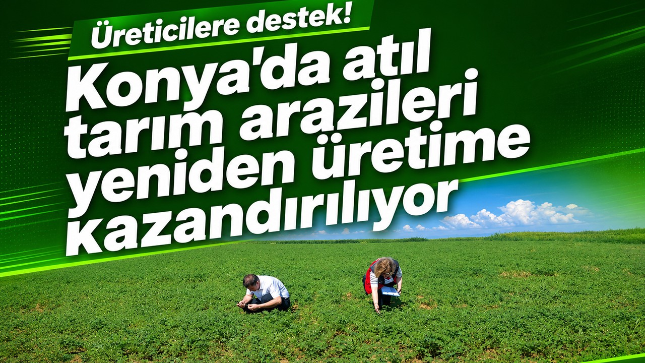 Üreticilere destek! Konya'da atıl tarım arazileri yeniden üretime kazandırılıyor