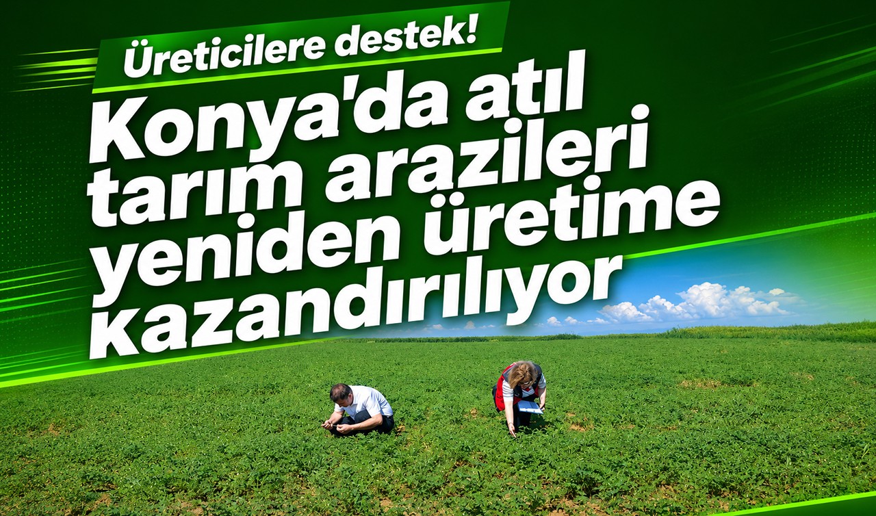 Üreticilere destek! Konya'da atıl tarım arazileri yeniden üretime kazandırılıyor