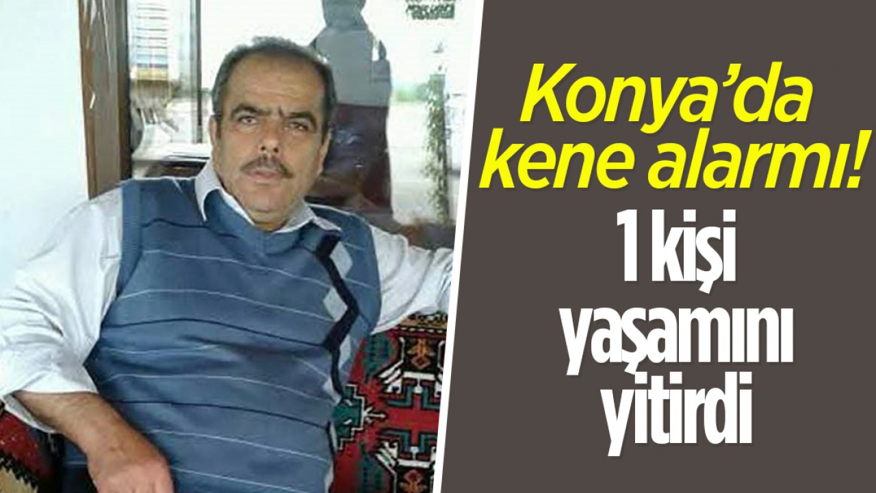 Konya'da kene alarmı! 1 kişi yaşamını yitirdi