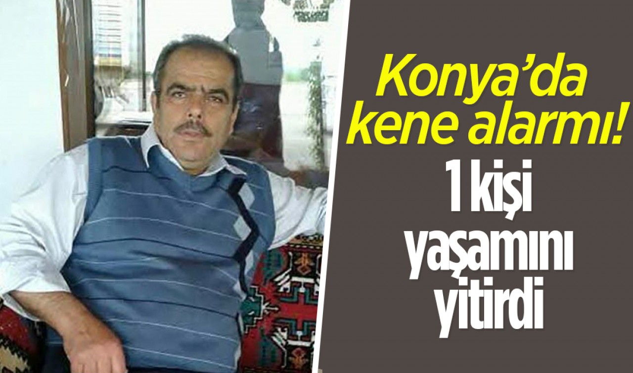 Konya'da kene alarmı! 1 kişi yaşamını yitirdi