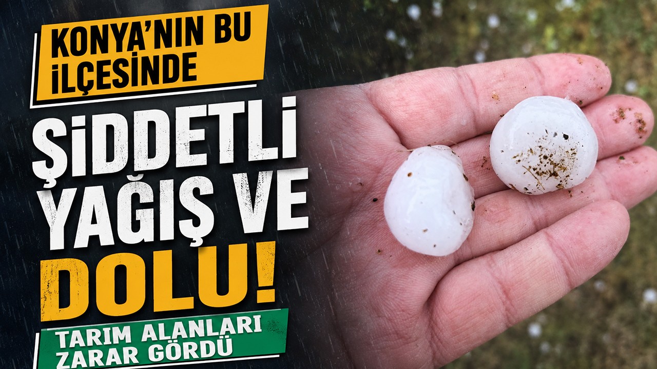 Konya'nın bu ilçesinde şiddetli yağış ve dolu! Tarım alanları zarar gördü