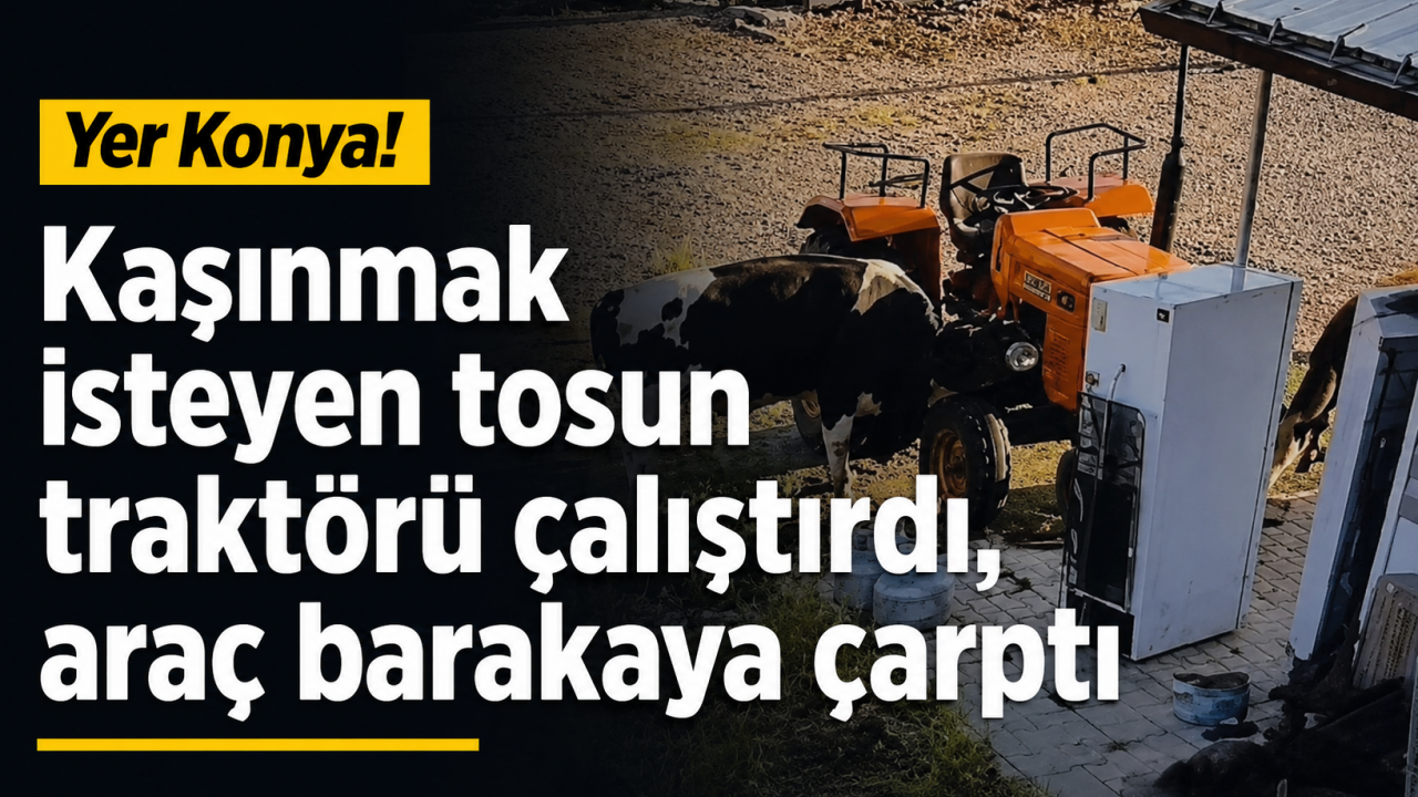 Yer Konya! Kaşınmak isteyen tosun traktörü çalıştırdı, araç barakaya çarptı