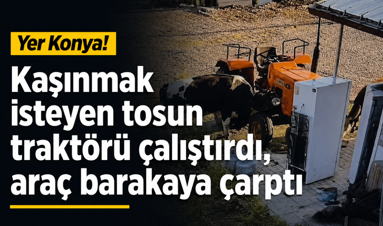Yer Konya! Kaşınmak isteyen tosun traktörü çalıştırdı, araç barakaya çarptı