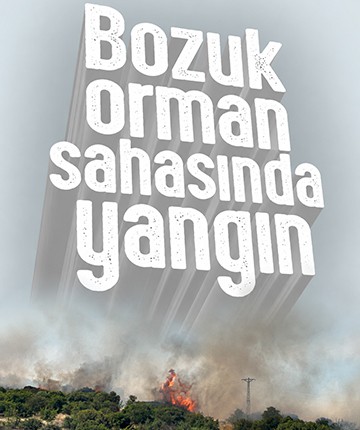 Bozuk orman sahasında yangın