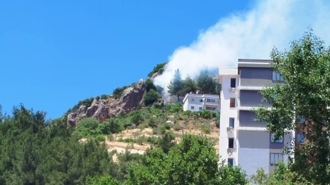 Kahramanmaraş'ta orman yangını