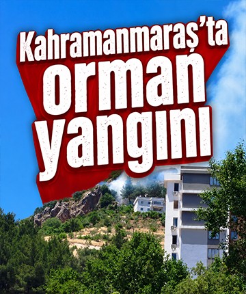 Kahramanmaraş'ta orman yangını
