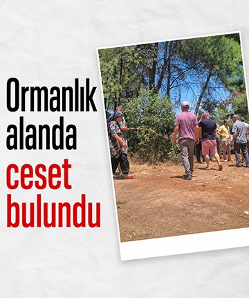Ormanlık alanda ceset bulundu