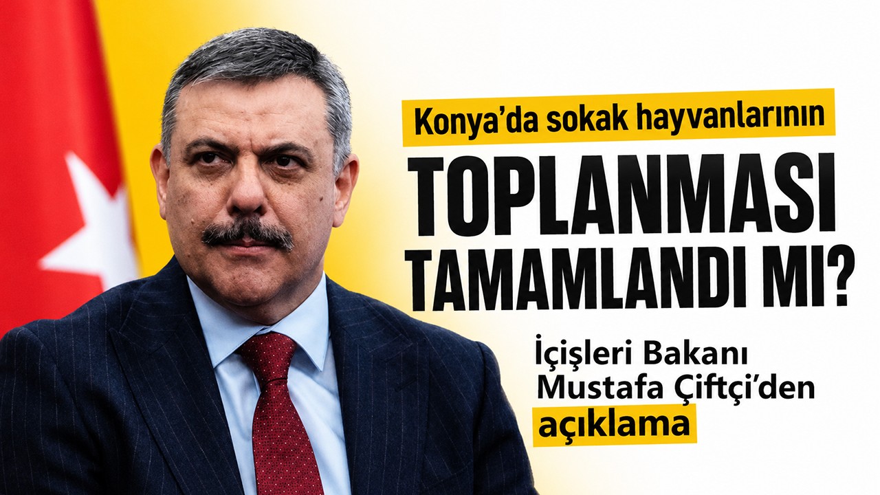 Konya’da sokak hayvanlarının toplanması tamamlandı mı? Bakan Mustafa Çiftçi'den açıklama