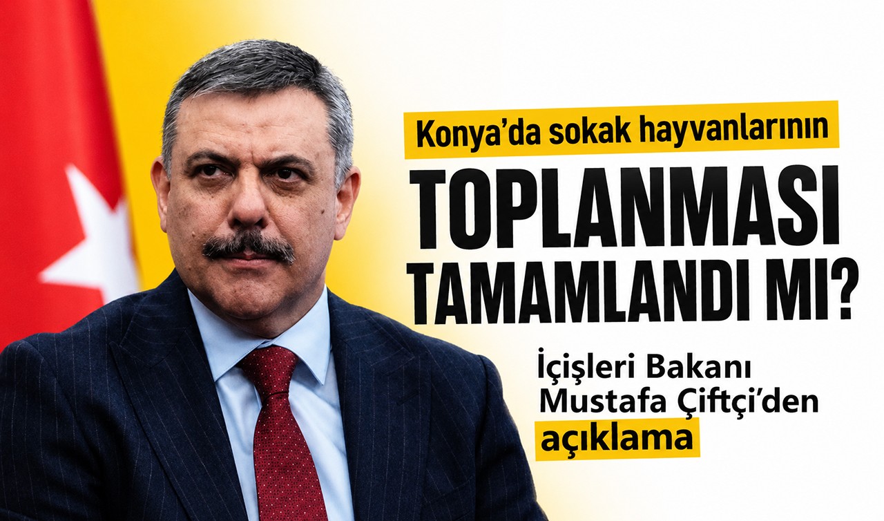 Konya’da sokak hayvanlarının toplanması tamamlandı mı? Bakan Mustafa Çiftçi'den açıklama