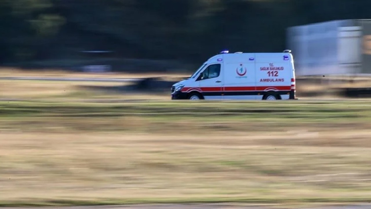 Minibüs, at arabasına çarptı: 1 ölü