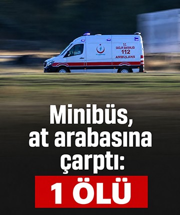 Minibüs, at arabasına çarptı: 1 ölü