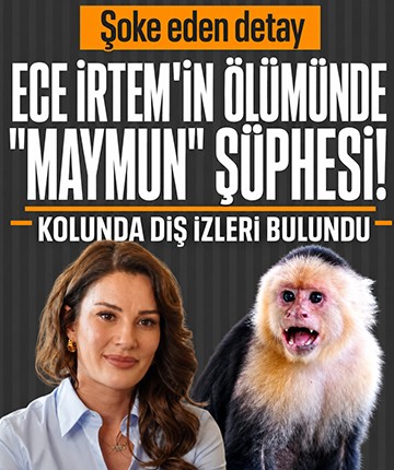 Ece İrtem'in ölümünde "maymun" şüphesi! Kolunda diş izleri bulundu