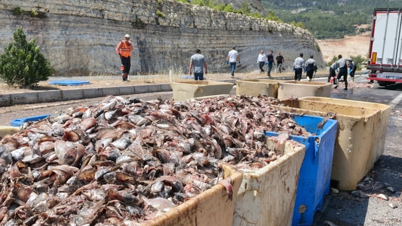 Tırın dorsesi patladı, balık atıkları yola saçıldı