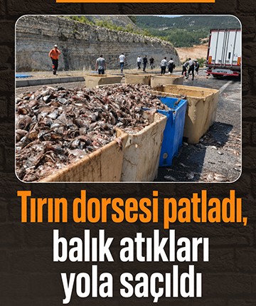 Tırın dorsesi patladı, balık atıkları yola saçıldı