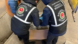Gümrükler Muhafaza ekipleri zehir tacirlerine göz açtırmadı