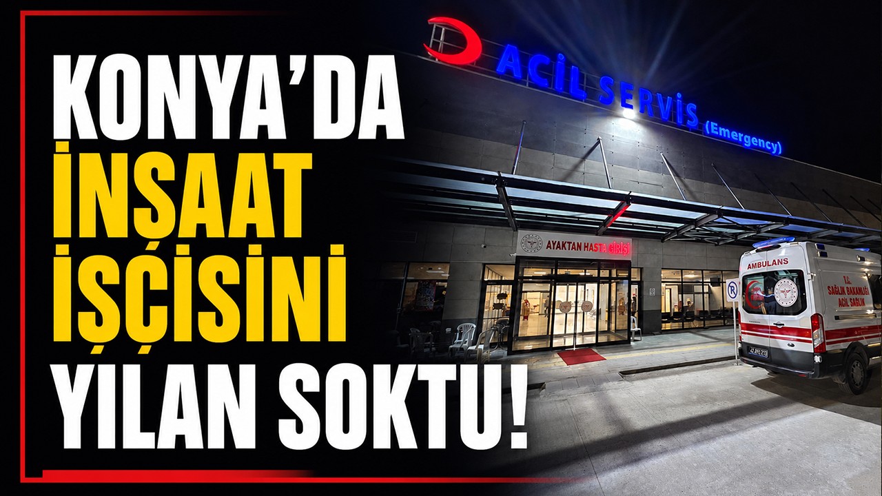 Konya'da inşaat işçisini yılan soktu!
