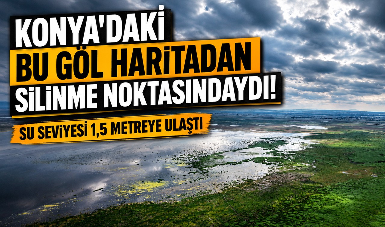 Konya'daki bu göl haritadan silinme noktasındaydı! Su seviyesi 1,5 metreye ulaştı