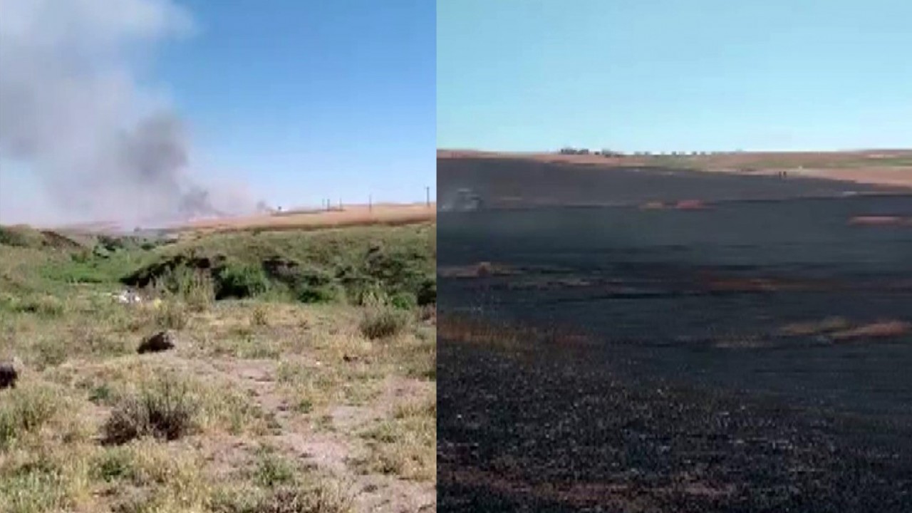 Biçerdöverden çıkan kıvılcım 150 dönümlük alanı kül etti