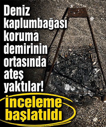 Deniz kaplumbağası koruma demirinin ortasında ateş yaktılar! İnceleme başlatıldı