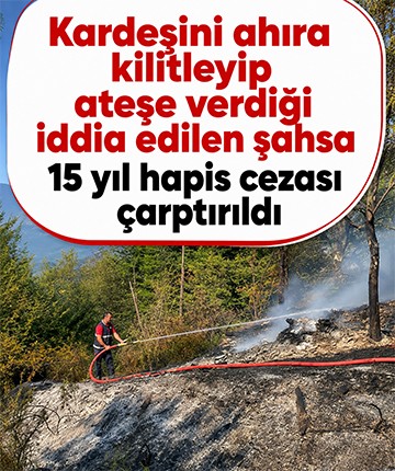 Kardeşini ahıra kilitleyip ateşe verdiği iddia edilen şahsa 15 yıl hapis cezası çarptırıldı