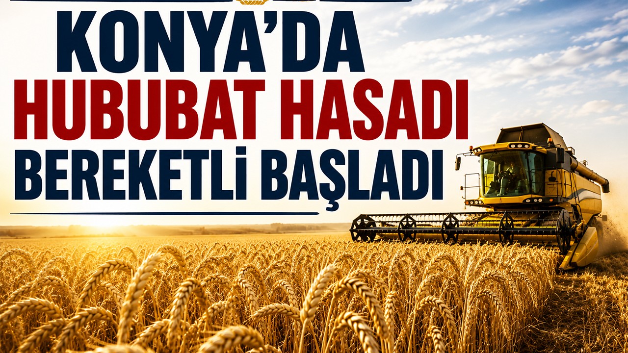 Konya’da hububat hasadı bereketli başladı