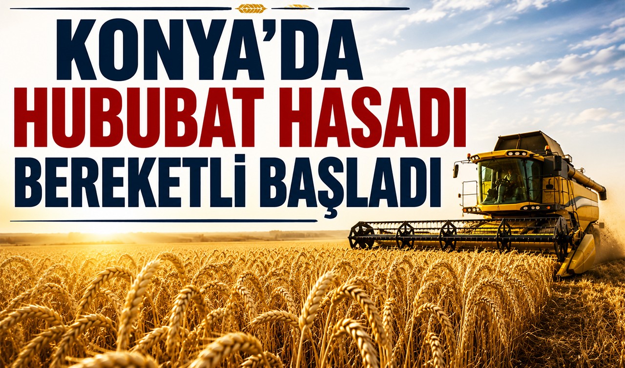 Konya’da hububat hasadı bereketli başladı