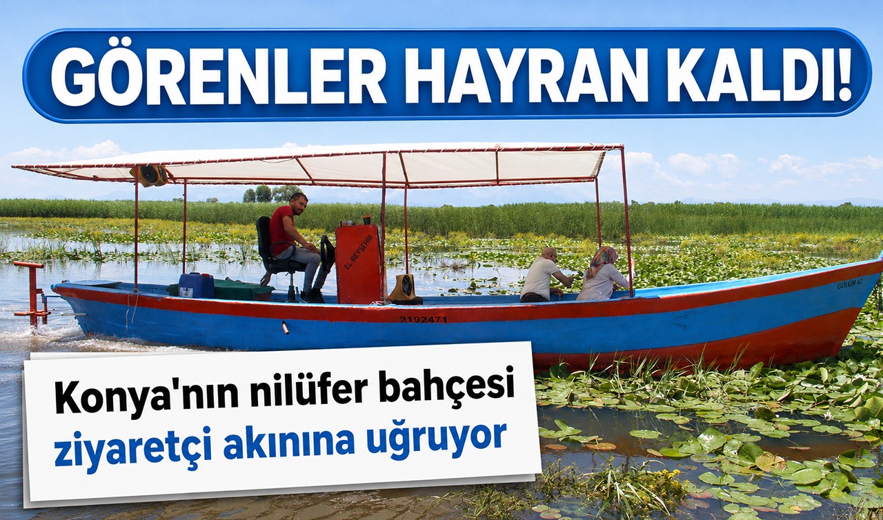 Konya'nın nilüfer bahçesi ziyaretçi akınına uğruyor