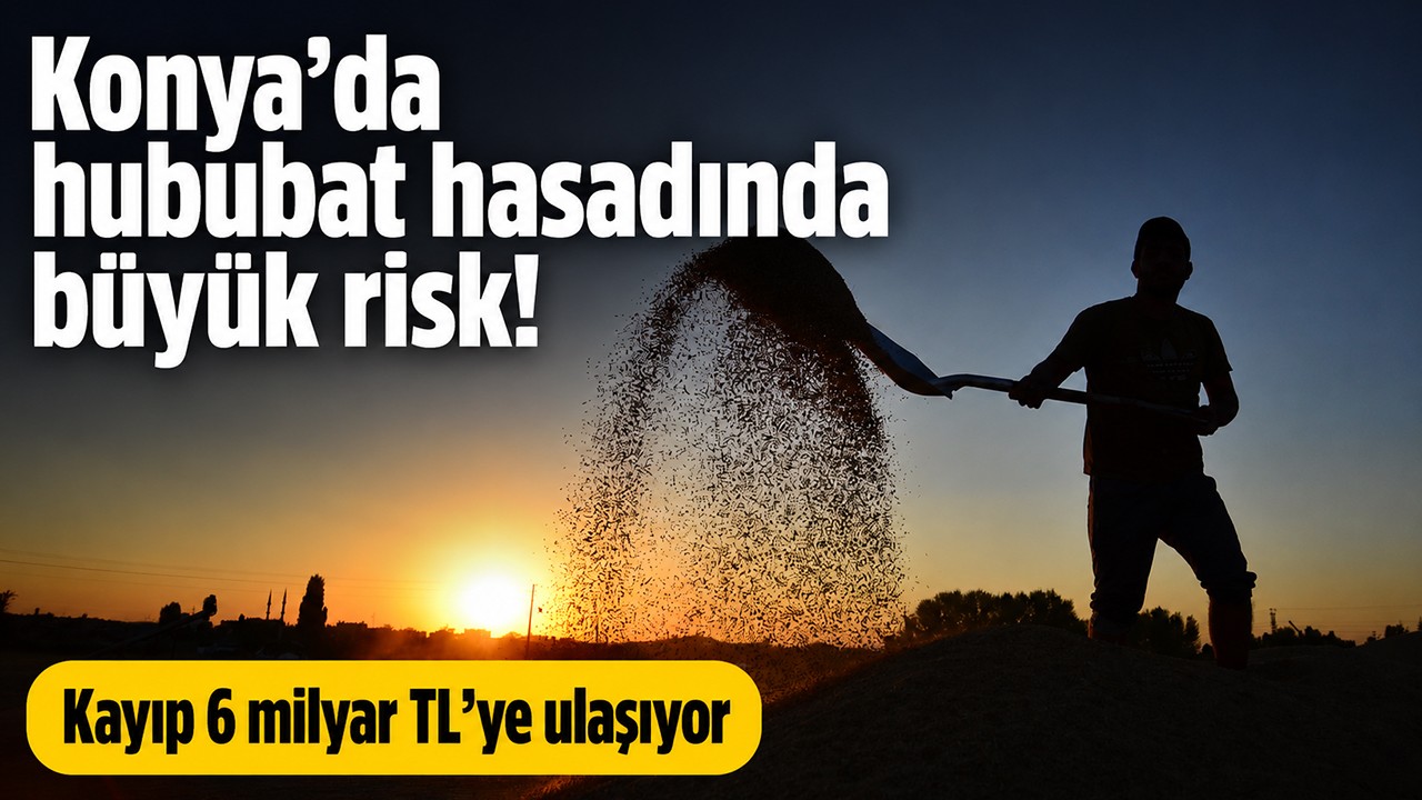 Konya'da hububat hasadında büyük risk! Kayıp 6 milyar TL’ye ulaşıyor