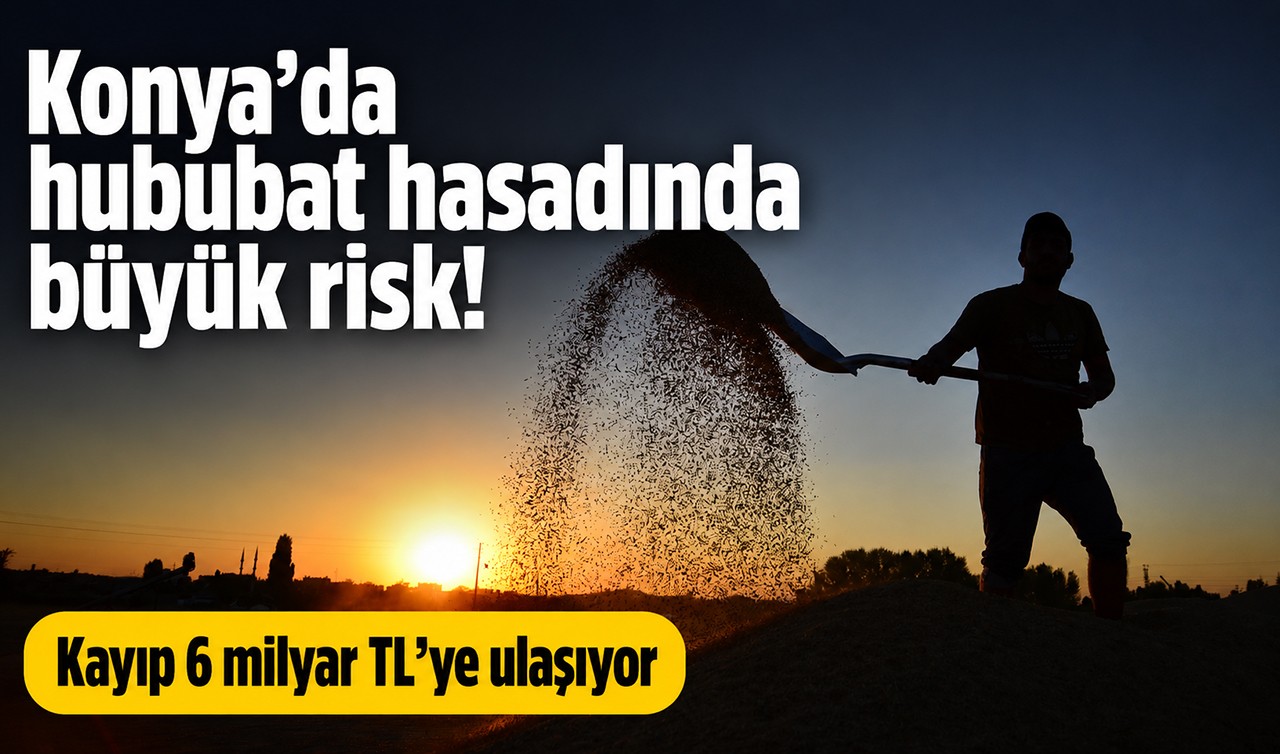 Konya'da hububat hasadında büyük risk! Kayıp 6 milyar TL’ye ulaşıyor