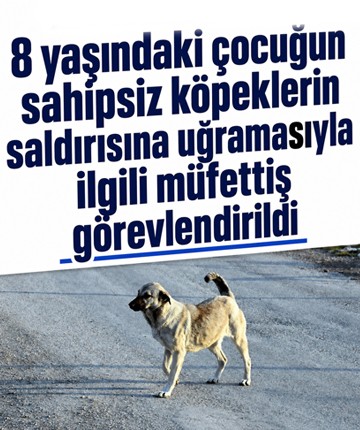8 yaşındaki çocuğun sahipsiz köpeklerin saldırısına uğramasıyla ilgili müfettiş görevlendirildi
