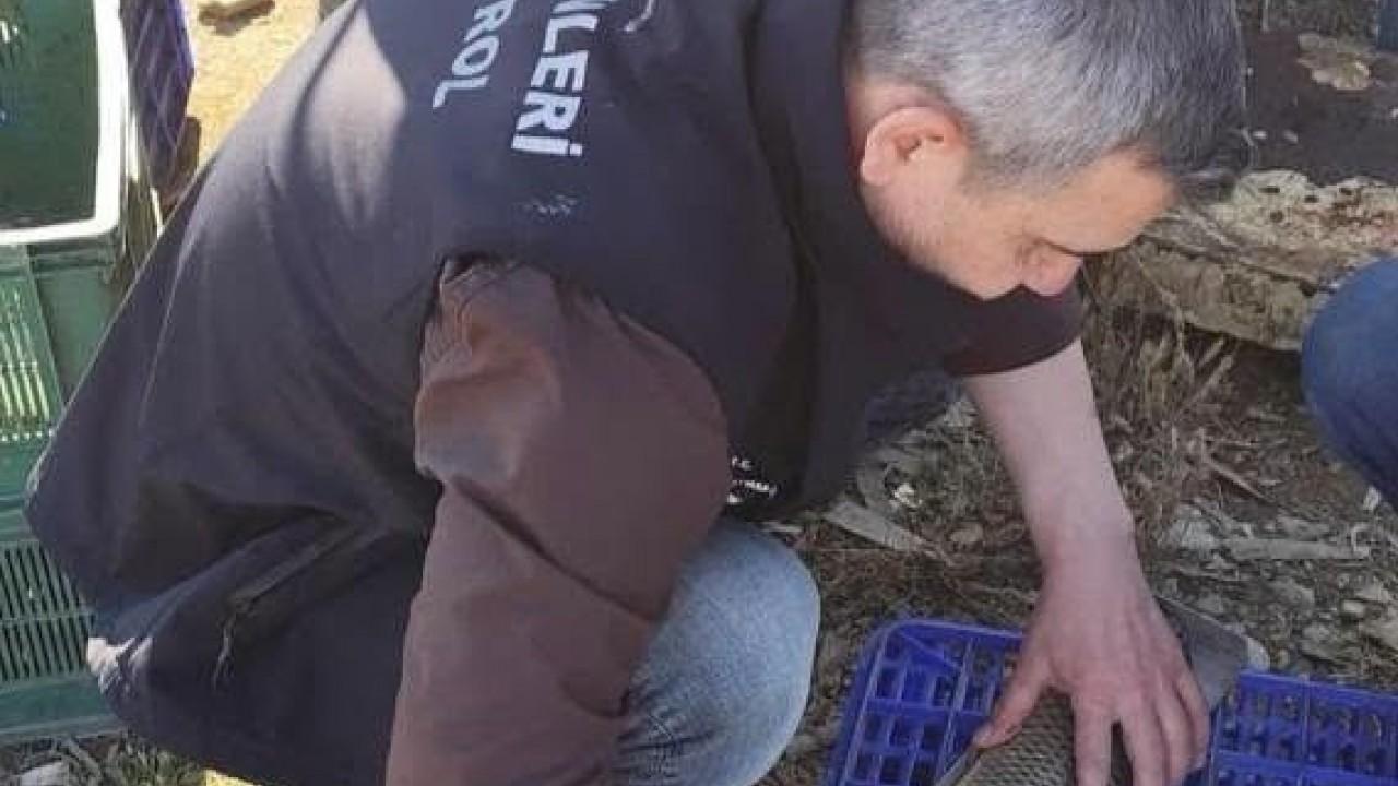 Beyşehir'de avcılara yakın takip