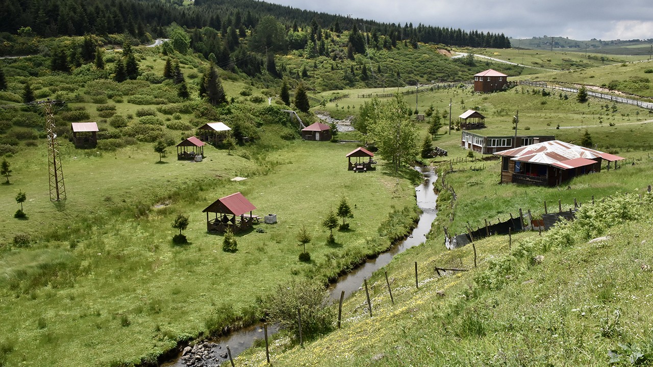 Karadeniz'in doğasıyla öne çıkan Çambaşı Yaylası misafirlerini ağırlıyor