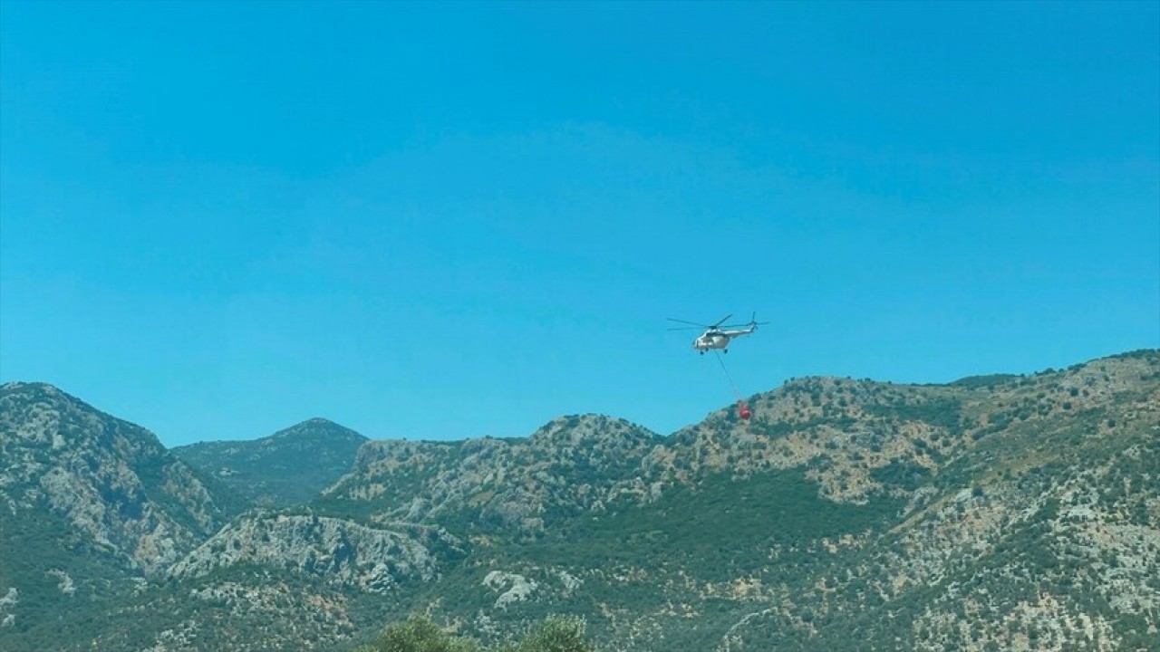 Muğla'nın Seydikemer ilçesinde orman yangını çıktı