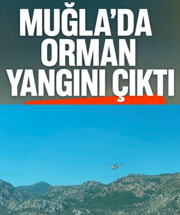 Muğla'nın Seydikemer ilçesinde orman yangını çıktı