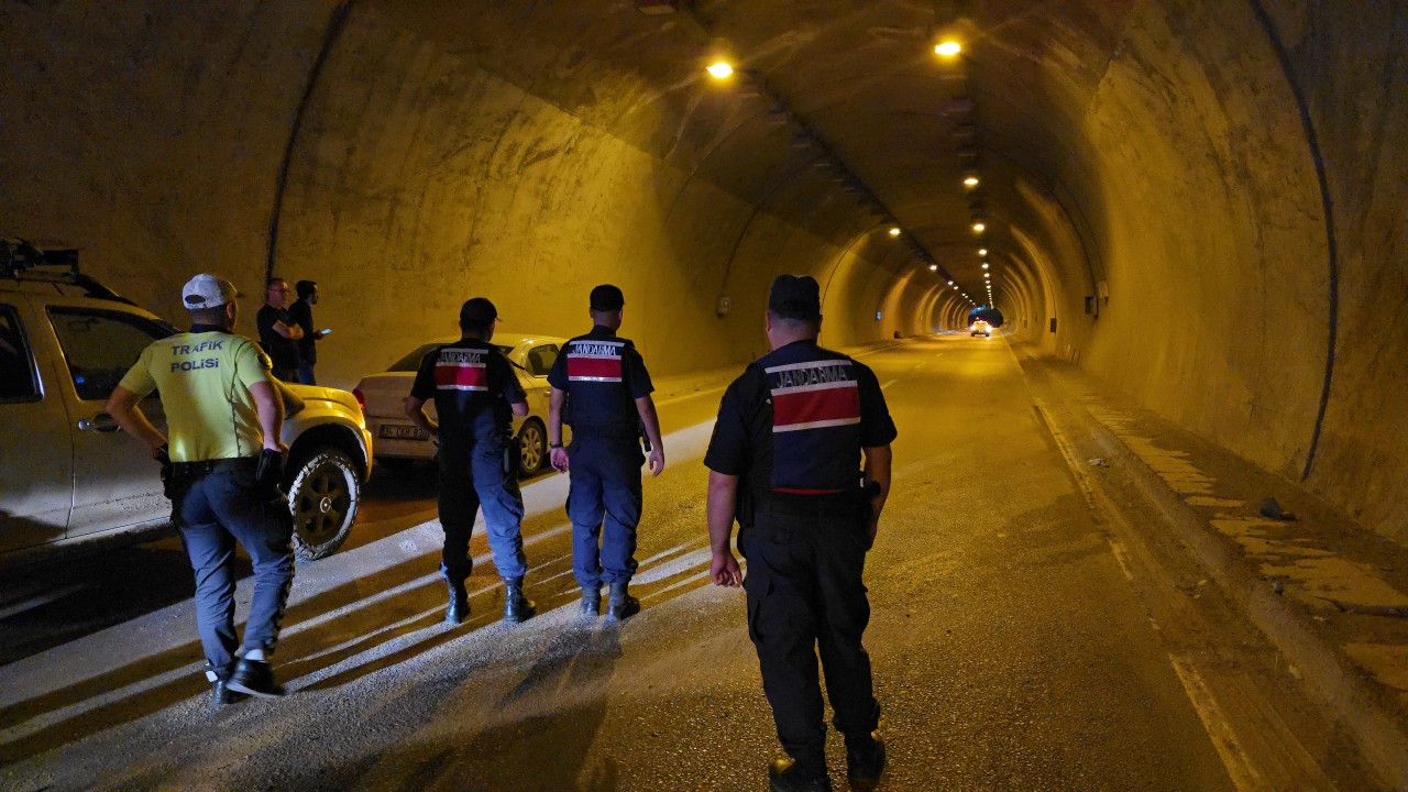 Otomobilin çarptığı yaralı ayı tüneli birbirine kattı